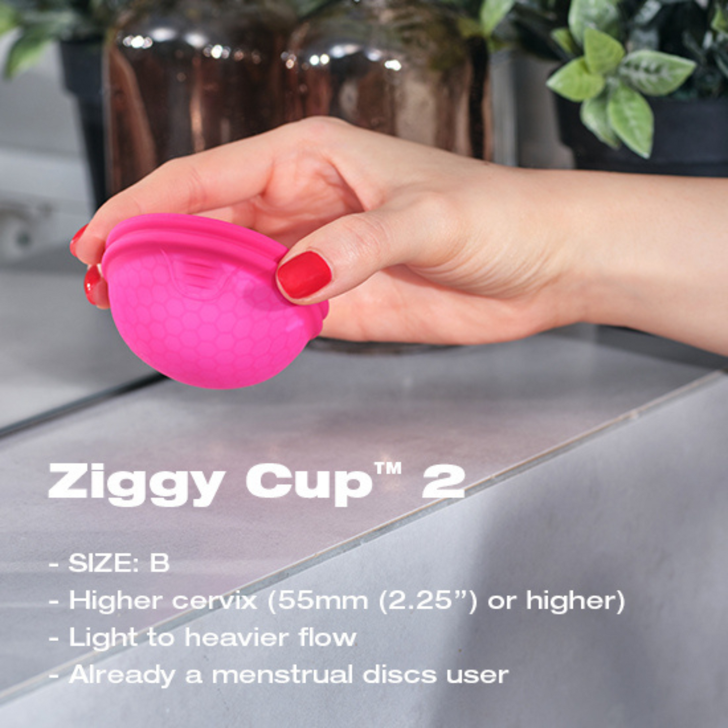 Intimina Ziggy Cup 2 月經碟 Size B