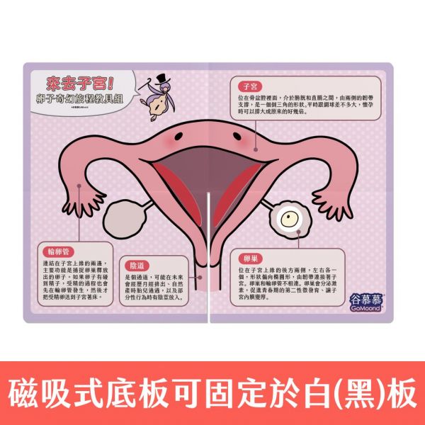 《來去子宮!青春期初經寶典~從零開始跟月經相處~》連《來去子宮!卵子 奇幻旅程教具組》套裝