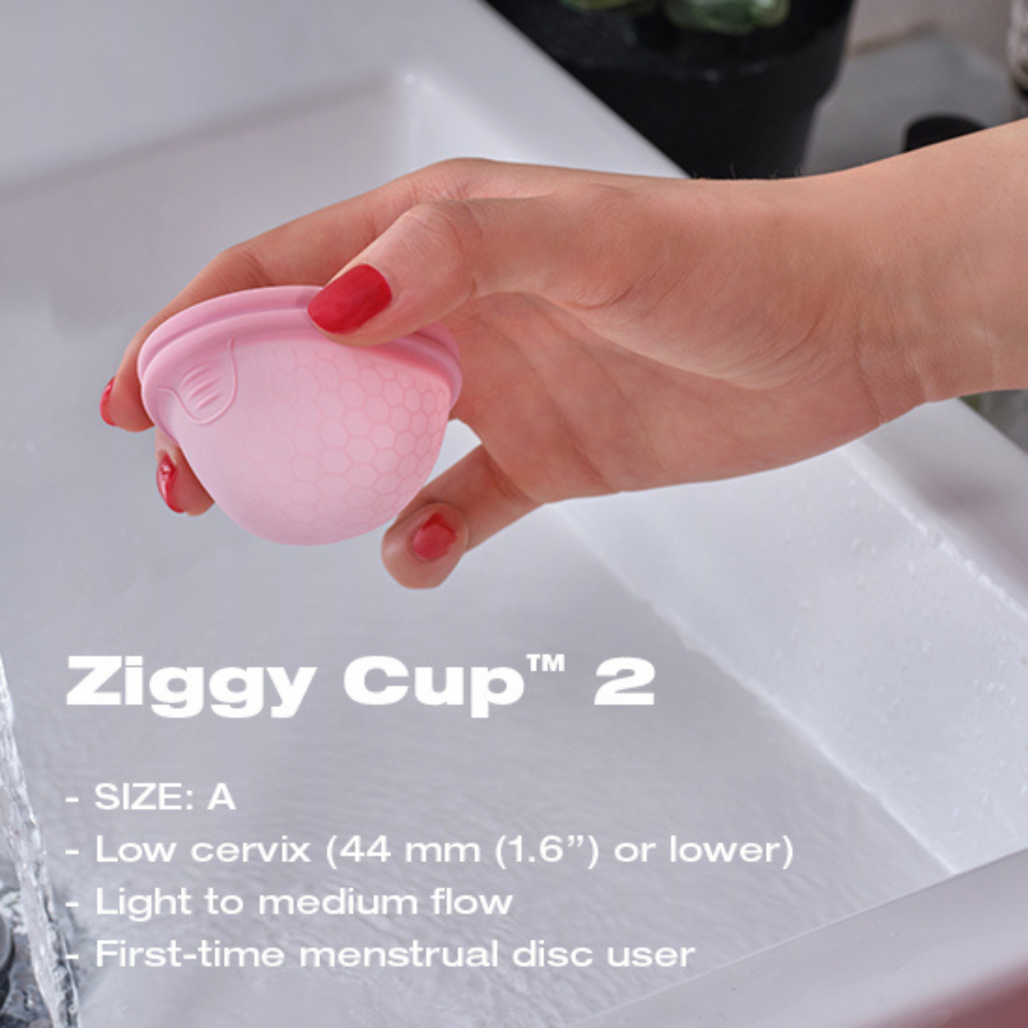 Intimina Ziggy Cup 2 月經碟 Size A