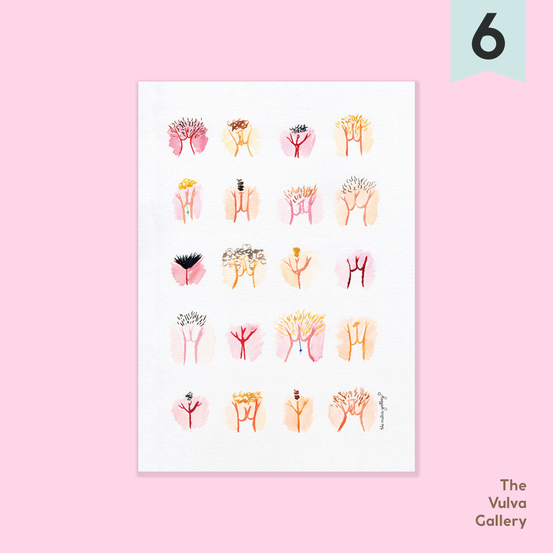 Vulva Variety Postcard - Happeriod