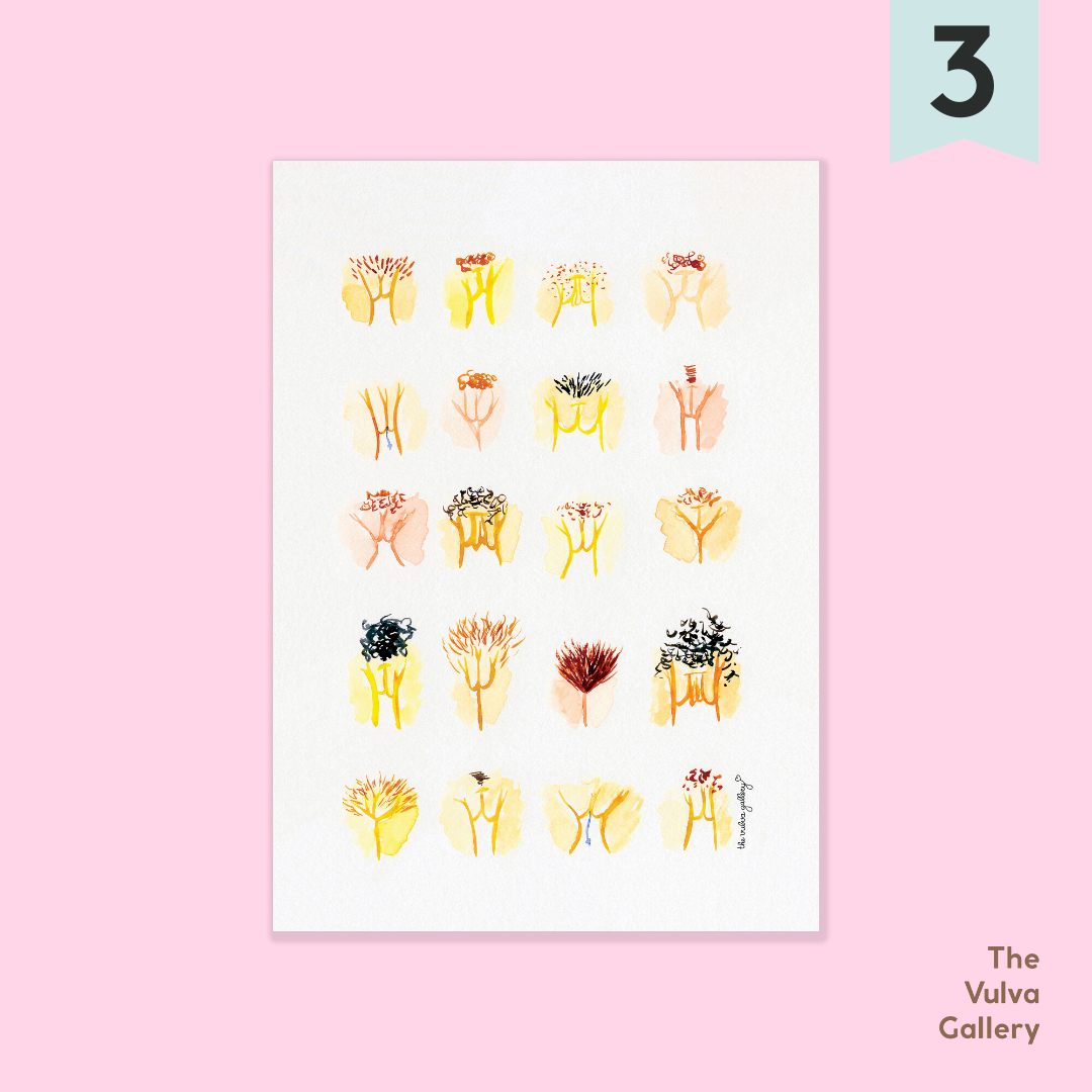 Vulva Variety Postcard - Happeriod