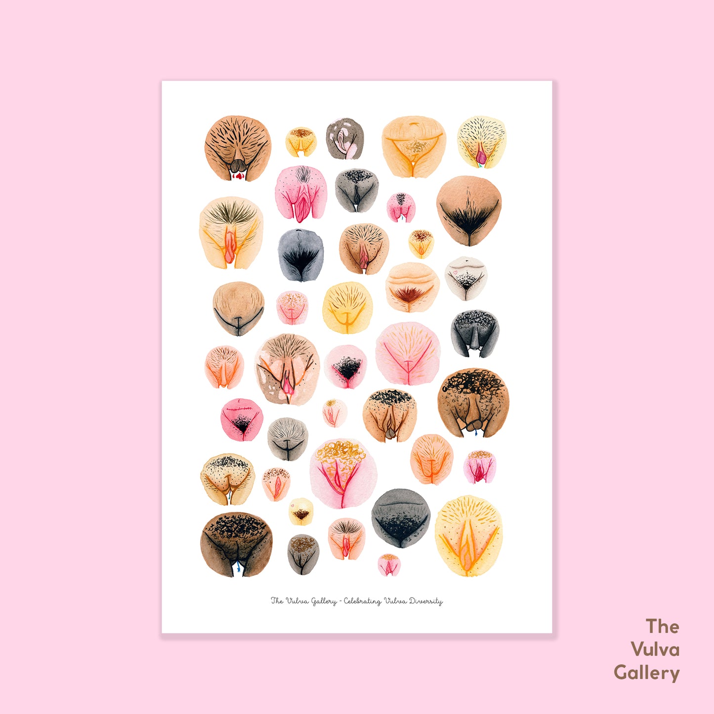 Vulva Variety Postcard - Happeriod