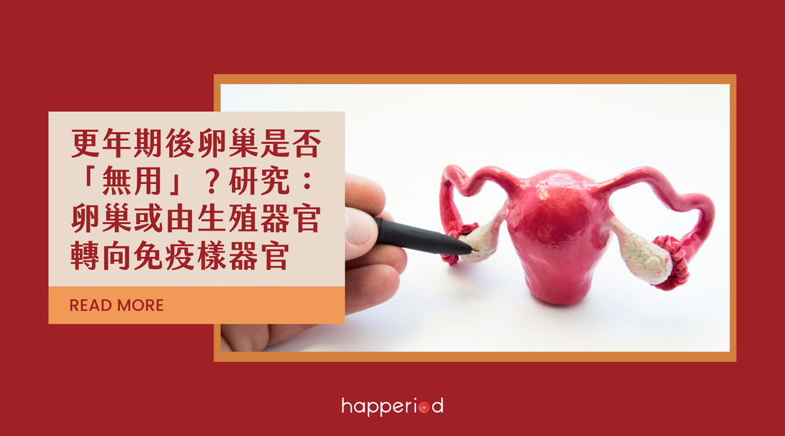更年期後卵巢是否「無用」？研究：卵巢或由生殖器官轉向免疫樣器官