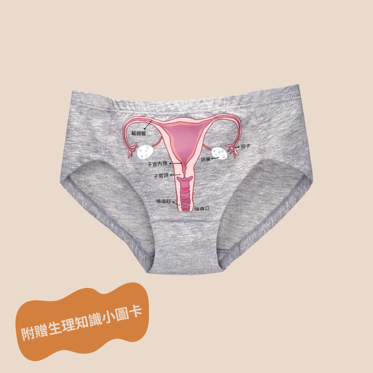 子宮彩繪內褲