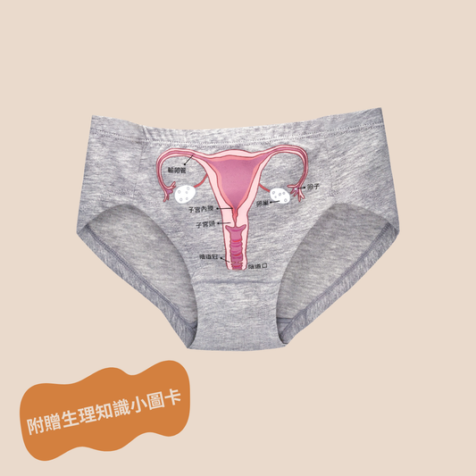 子宮彩繪內褲