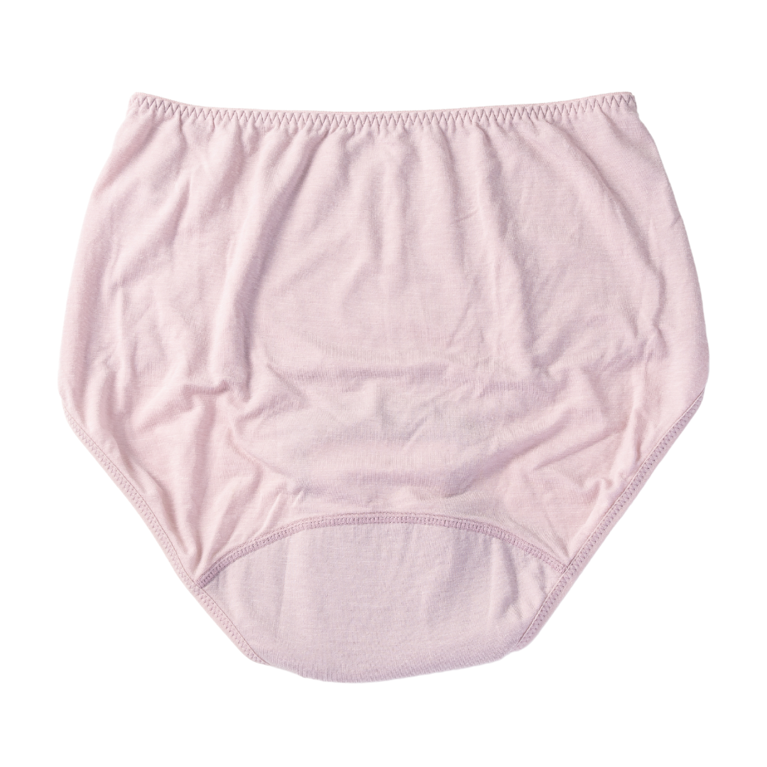 GoMoond Absorbent Panty with Insert Pad Set