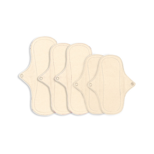 Eco Femme Natural Organic Light Flow Kit